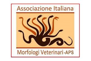 morfologi_veterinari
